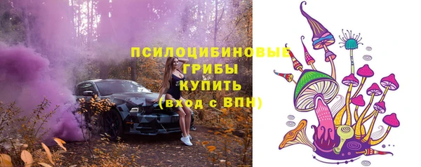 стаф Алексеевка