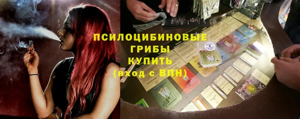 стаф Алексеевка