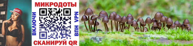 Галлюциногенные грибы Cubensis Бобров